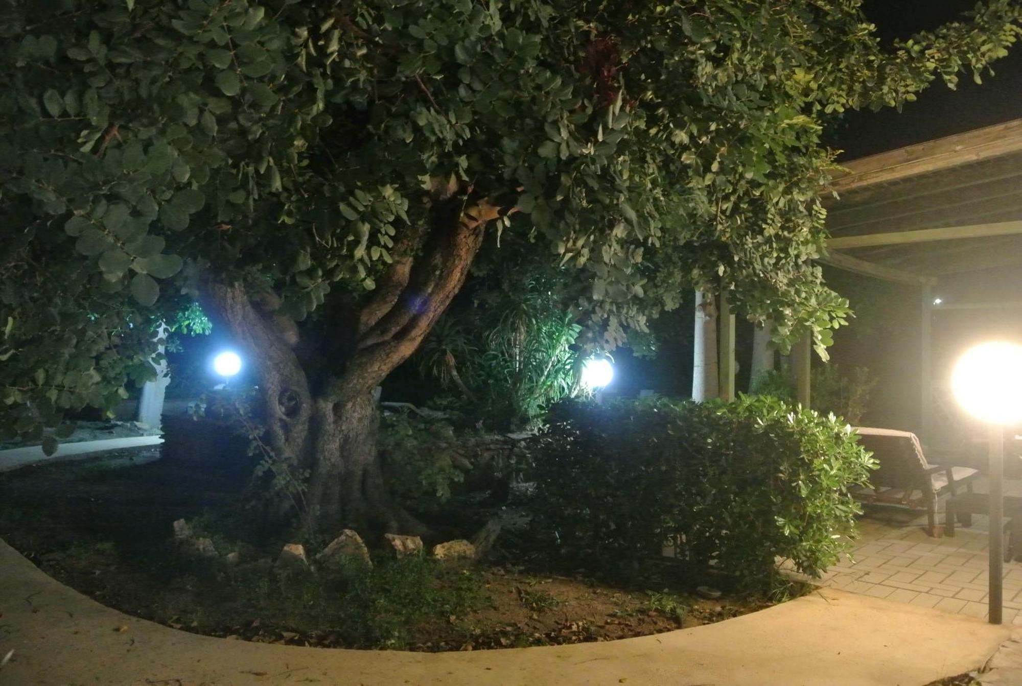 سان ليون Villa Carlotta Resort المظهر الخارجي الصورة